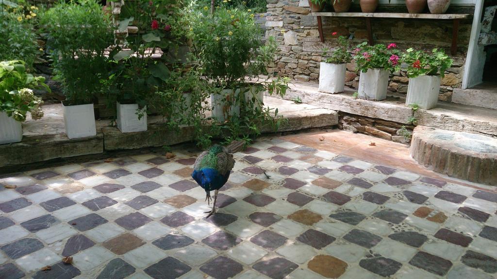Nisanyan Hotel Σελτσούκ Εξωτερικό φωτογραφία