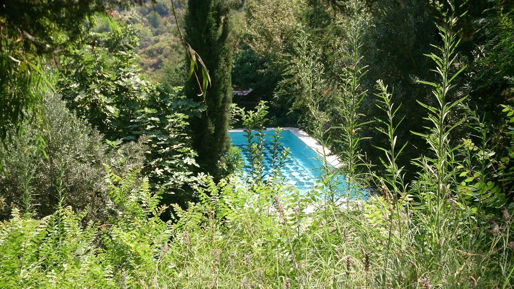 Nisanyan Hotel Σελτσούκ Εξωτερικό φωτογραφία